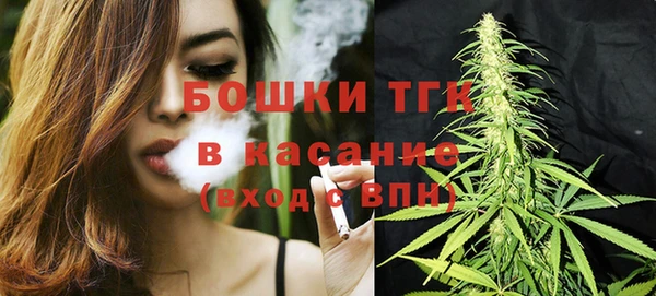 стафф Козловка
