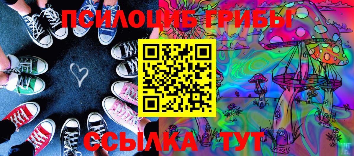 где найти   Вход с VPN  Псилоцибиновые грибы MAGIC MUSHROOMS  Морозовск  Галлюциногенные грибы GOLDEN TEACHER 