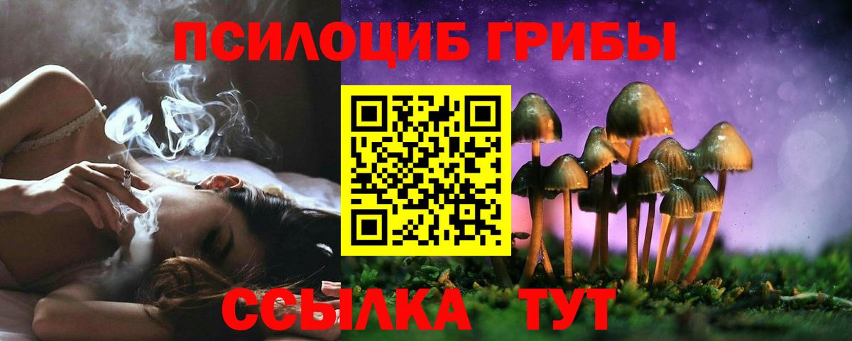 Псилоцибиновые грибы Cubensis Морозовск